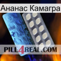 Ананас Камагра 34